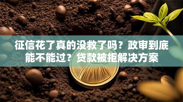 征信花了真的没救了吗？政审到底能不能过？贷款被拒解决方案