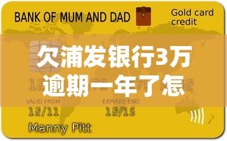 欠浦发银行3万逾期一年了怎么办？协商还款技巧与解决方案分享