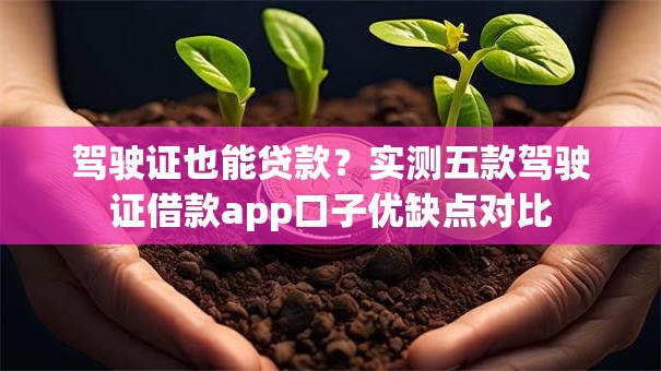 驾驶证也能贷款？实测五款驾驶证借款app口子优缺点对比