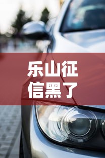 乐山征信黑了怎么买车？这些贷款方案帮你解决难题