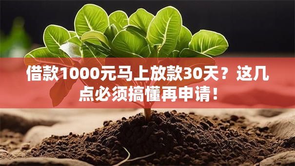 借款1000元马上放款30天?这几点必须搞懂再申请! 借款1000元马上放款30天?这几点必须搞懂再申请!