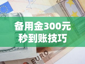 备用金300元秒到账技巧！应急必备的快速借款方案解析
