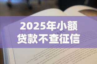 2025年小额贷款不查征信必过？最新攻略悄悄说！