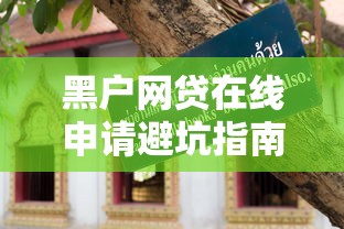 黑户网贷在线申请避坑指南：5个秒懂技巧