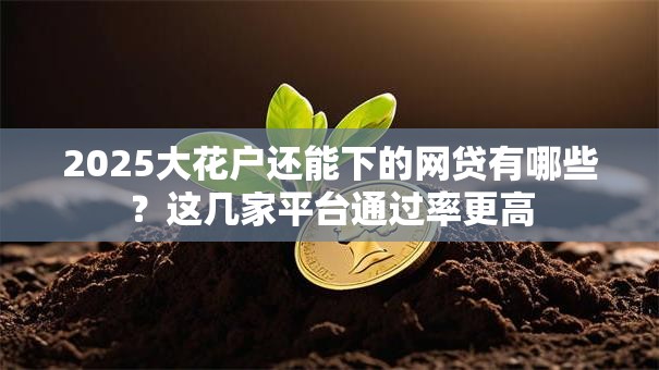 2025大花户还能下的网贷有哪些？这几家平台通过率更高