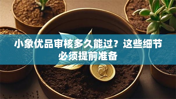 小象优品审核多久能过?这些细节必须提前准备 小象优品审核多久能过?这些细节必须提前准备
