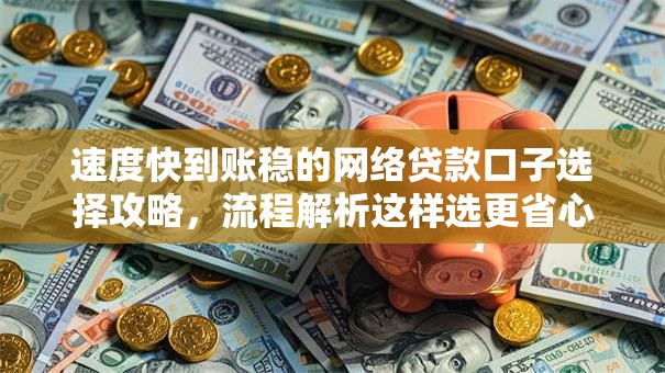 速度快到账稳的网络贷款口子选择攻略，流程解析这样选更省心
