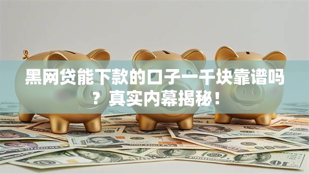 黑网贷能下款的口子一千块靠谱吗？真实内幕揭秘！