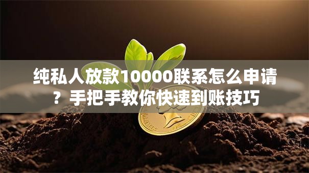 纯私人放款10000联系怎么申请？手把手教你快速到账技巧