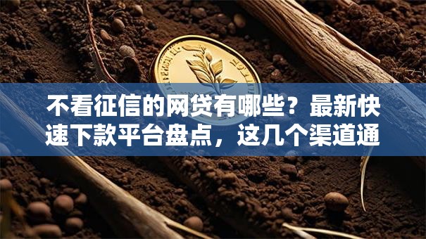 不看征信的网贷有哪些？最新快速下款平台盘点，这几个渠道通过率高