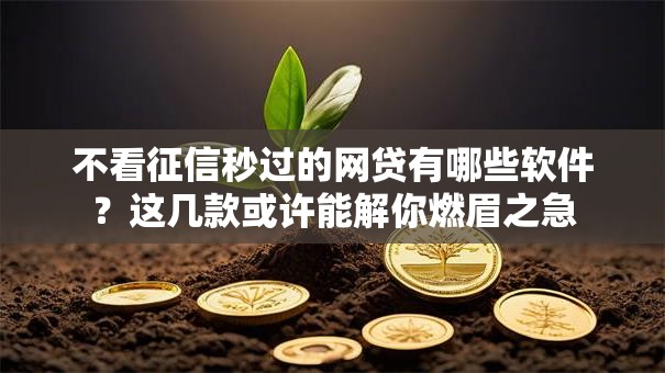 不看征信秒过的网贷有哪些软件？这几款或许能解你燃眉之急