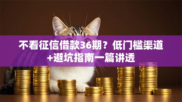 不看征信借款36期？低门槛渠道+避坑指南一篇讲透