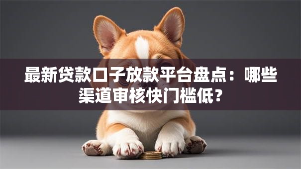 最新贷款口子放款平台盘点：哪些渠道审核快门槛低？