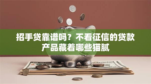 招手贷靠谱吗？不看征信的贷款产品藏着哪些猫腻