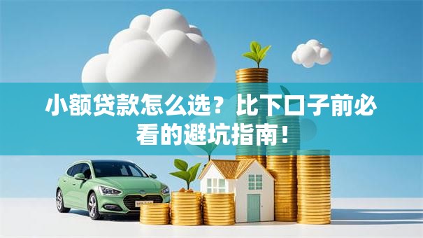 小额贷款怎么选？比下口子前必看的避坑指南！