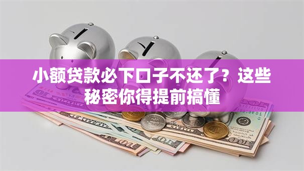 小额贷款必下口子不还了？这些秘密你得提前搞懂