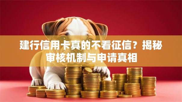 建行信用卡真的不看征信？揭秘审核机制与申请真相