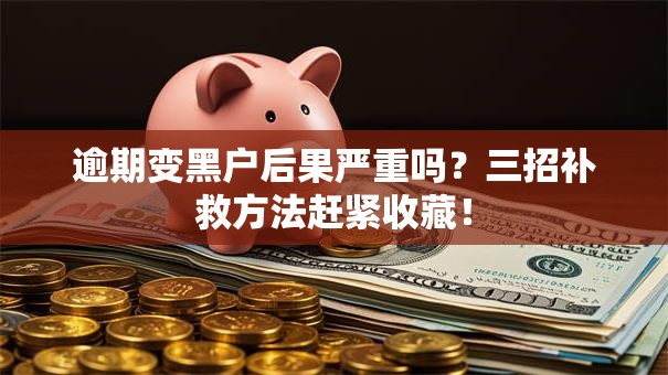 逾期变黑户后果严重吗？三招补救方法赶紧收藏！