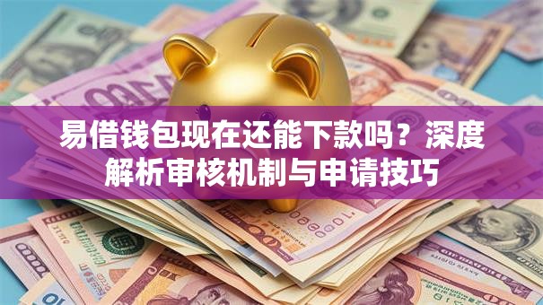 易借钱包现在还能下款吗？深度解析审核机制与申请技巧