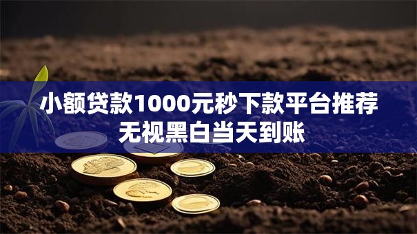 小额贷款1000元秒下款平台推荐 无视黑白当天到账