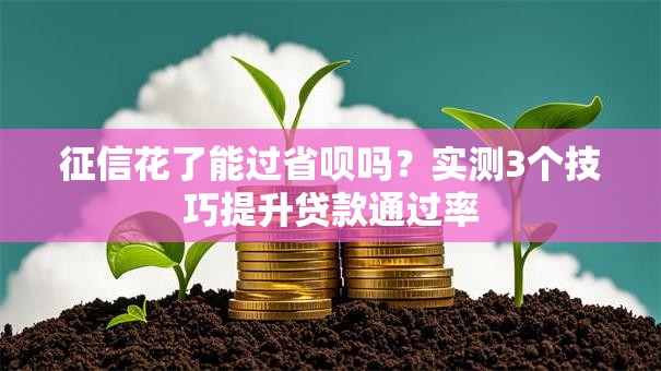 征信花了能过省呗吗？实测3个技巧提升贷款通过率