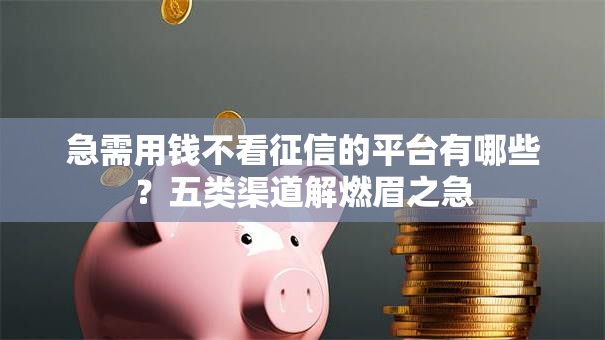 急需用钱不看征信的平台有哪些？五类渠道解燃眉之急