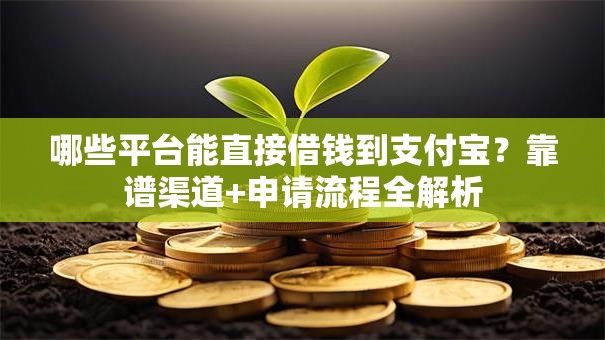 哪些平台能直接借钱到支付宝？靠谱渠道+申请流程全解析