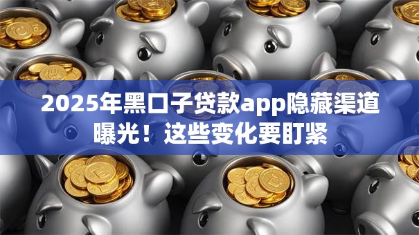 2025年黑口子贷款app隐藏渠道曝光！这些变化要盯紧