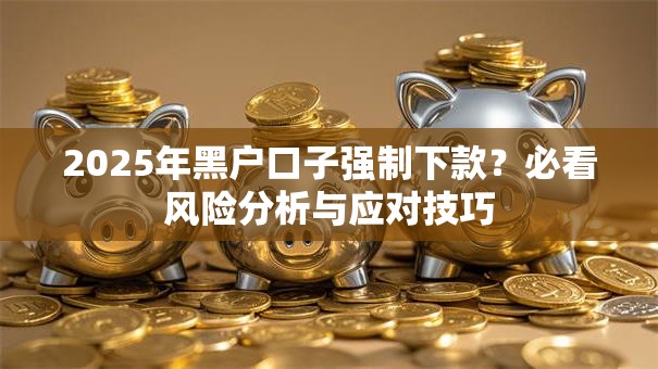 2025年黑户口子强制下款？必看风险分析与应对技巧