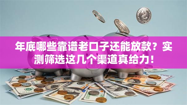 年底哪些靠谱老口子还能放款？实测筛选这几个渠道真给力！