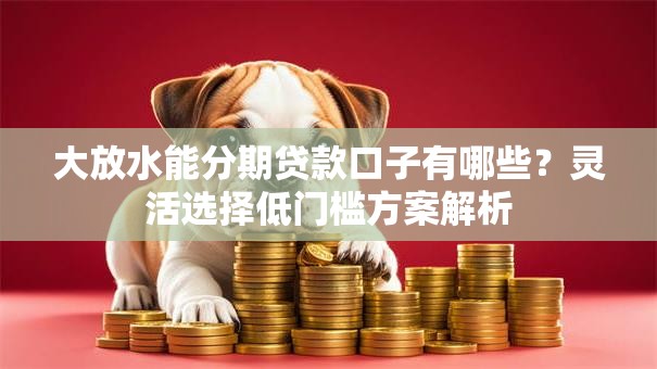 大放水能分期贷款口子有哪些？灵活选择低门槛方案解析