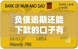 负债逾期还能下款的口子有哪些？这几招帮你解决资金难题
