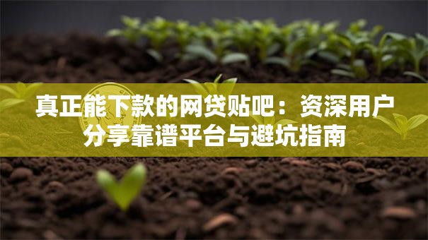 真正能下款的网贷贴吧：资深用户分享靠谱平台与避坑指南