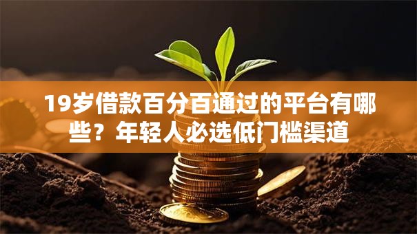 19岁借款百分百通过的平台有哪些？年轻人必选低门槛渠道