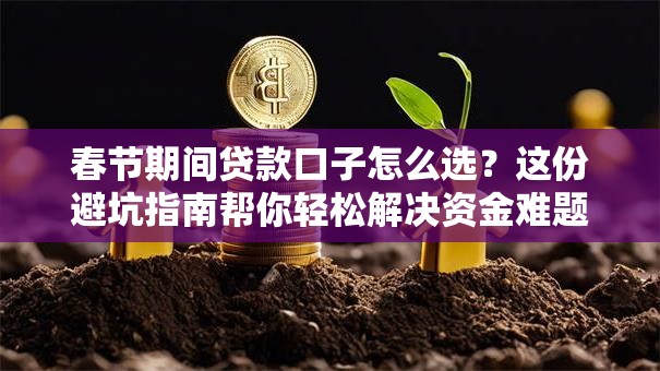 春节期间贷款口子怎么选？这份避坑指南帮你轻松解决资金难题