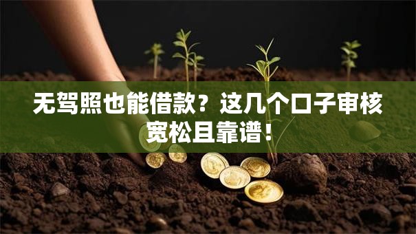 无驾照也能借款？这几个口子审核宽松且靠谱！
