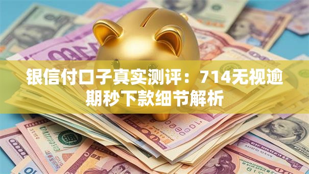 银信付口子真实测评：714无视逾期秒下款细节解析