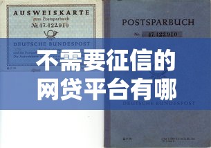 不需要征信的网贷平台有哪些？靠谱选择与避坑指南