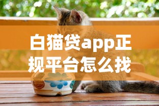 白猫贷app正规平台怎么找？手把手教你识别靠谱渠道
