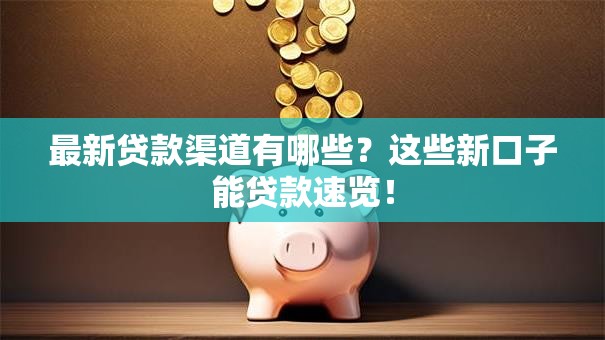 最新贷款渠道有哪些？这些新口子能贷款速览！