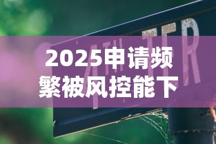 2025申请频繁被风控能下的口子深度实测指南
