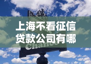 上海不看征信贷款公司有哪些？靠谱选择与避坑指南