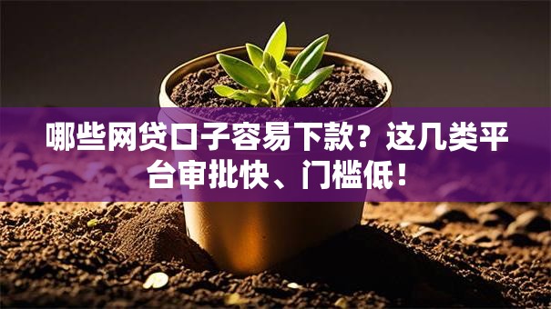 哪些网贷口子容易下款？这几类平台审批快、门槛低！
