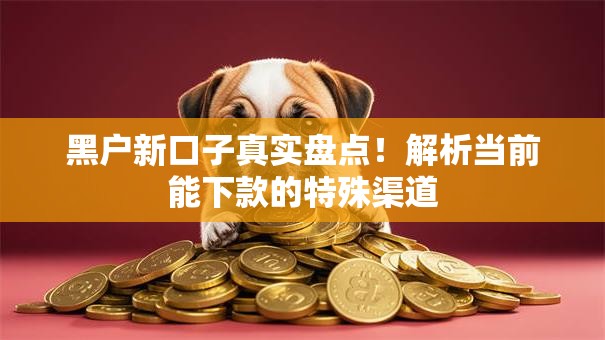黑户新口子真实盘点！解析当前能下款的特殊渠道