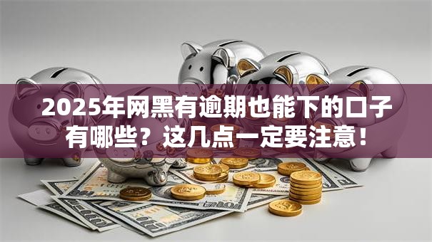2025年网黑有逾期也能下的口子有哪些？这几点一定要注意！