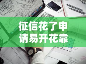 征信花了申请易开花靠谱吗？3个关键点教你提升通过率