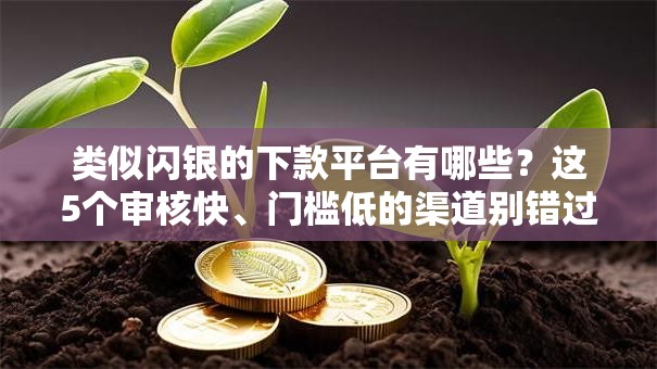 类似闪银的下款平台有哪些？这5个审核快、门槛低的渠道别错过！