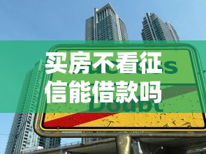 买房不看征信能借款吗？揭秘征信盲区贷款真相与避坑指南