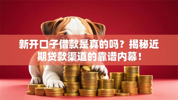 新开口子借款是真的吗？揭秘近期贷款渠道的靠谱内幕！