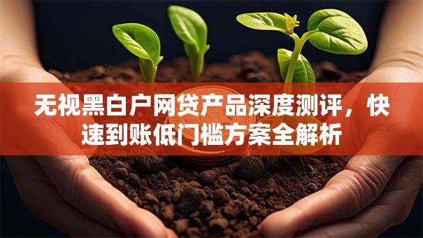 无视黑白户网贷产品深度测评，快速到账低门槛方案全解析